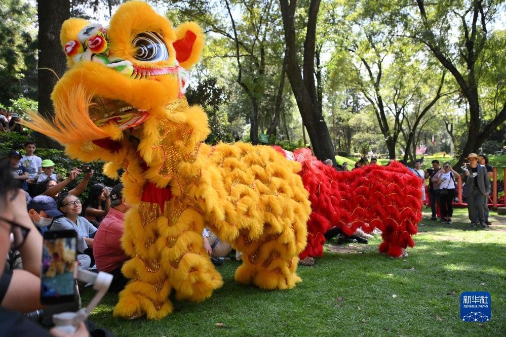 娱乐平台登录